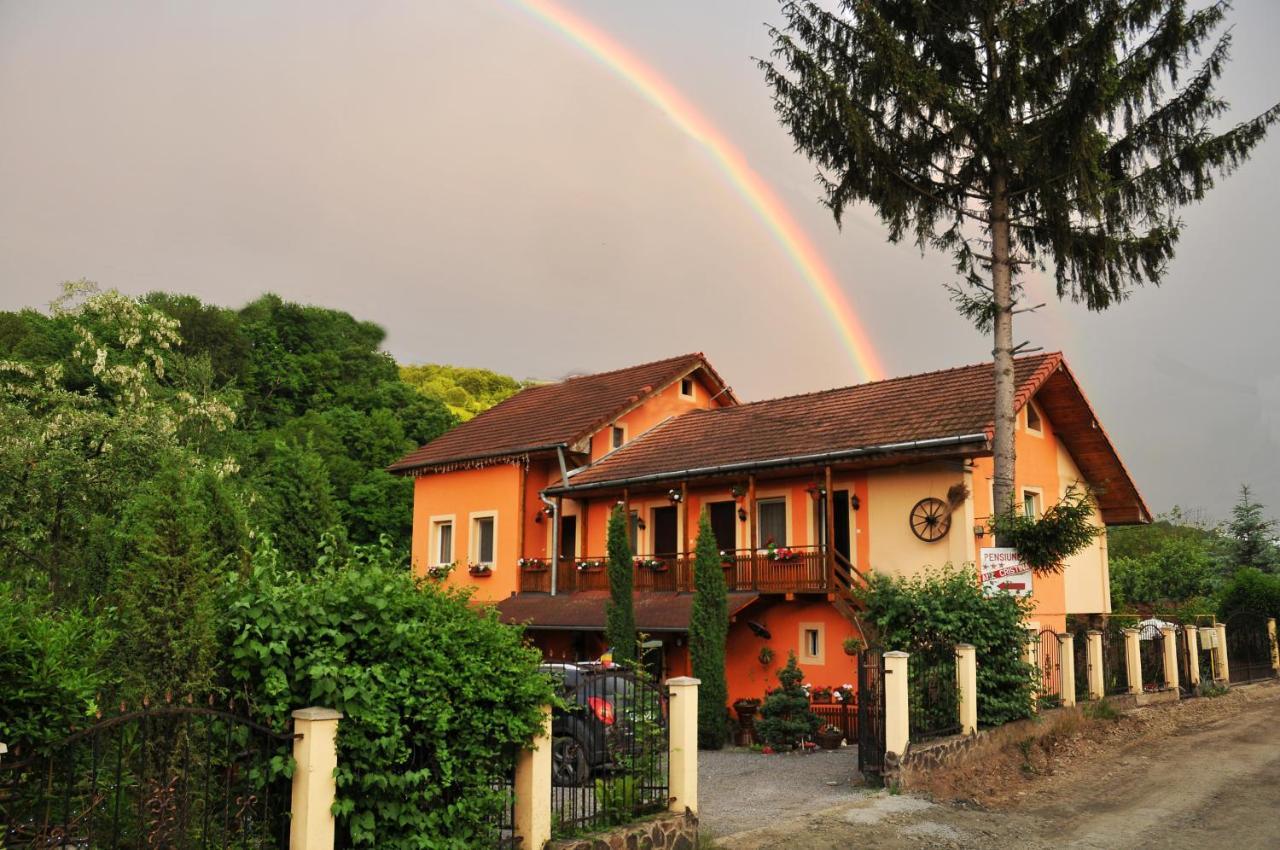Pensiunea Ana Cristina Sighisoara Bagian luar foto