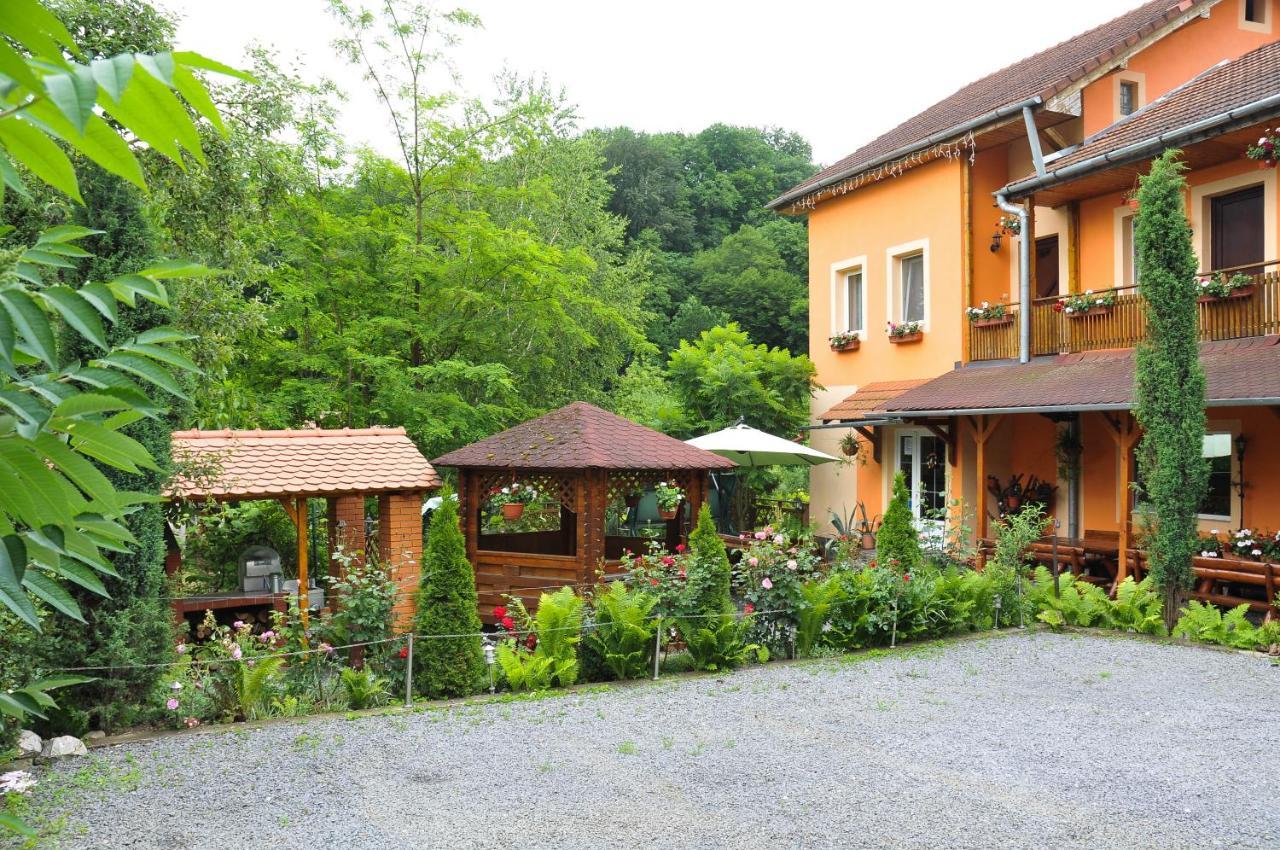Pensiunea Ana Cristina Sighisoara Bagian luar foto