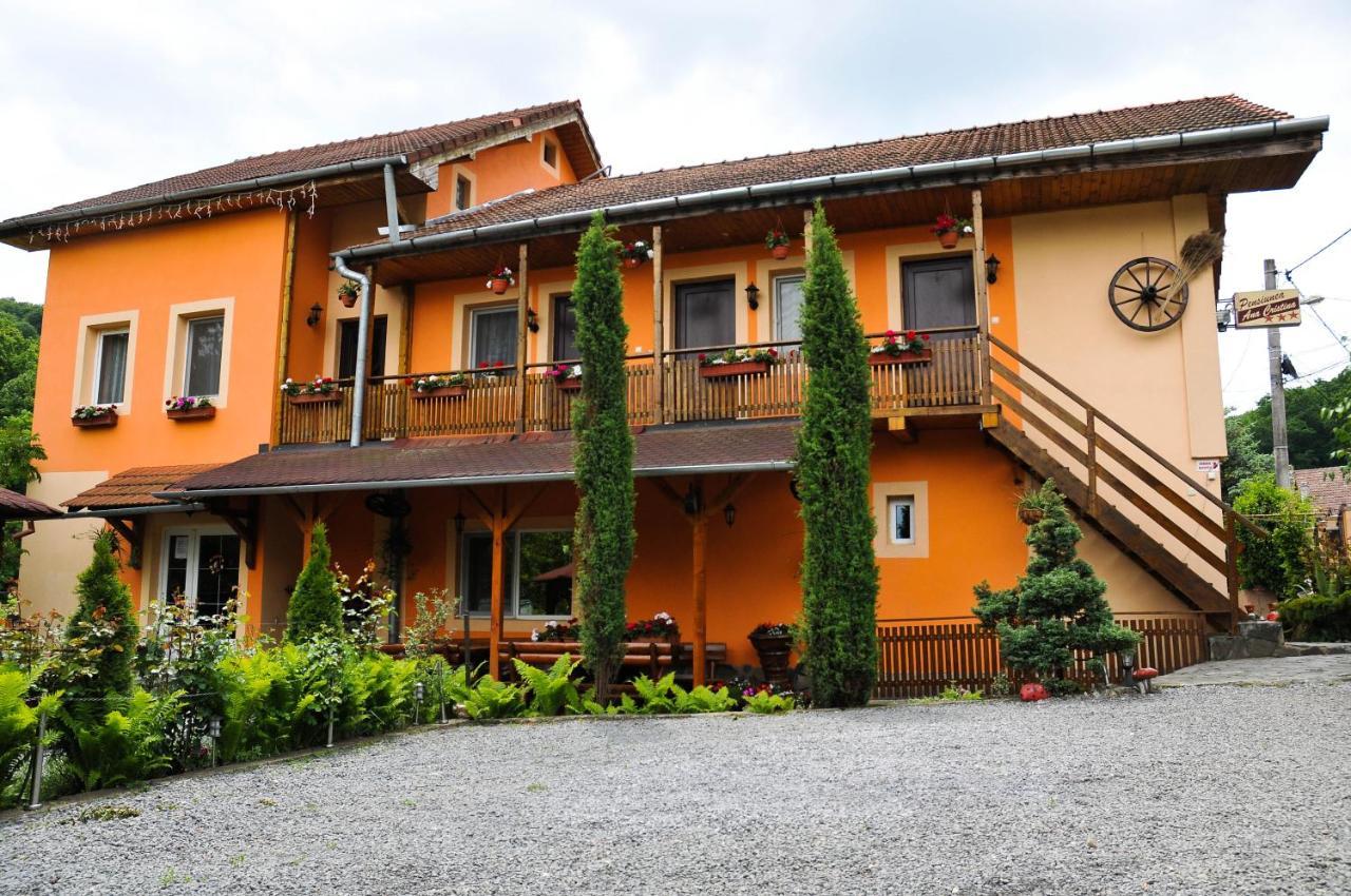 Pensiunea Ana Cristina Sighisoara Bagian luar foto
