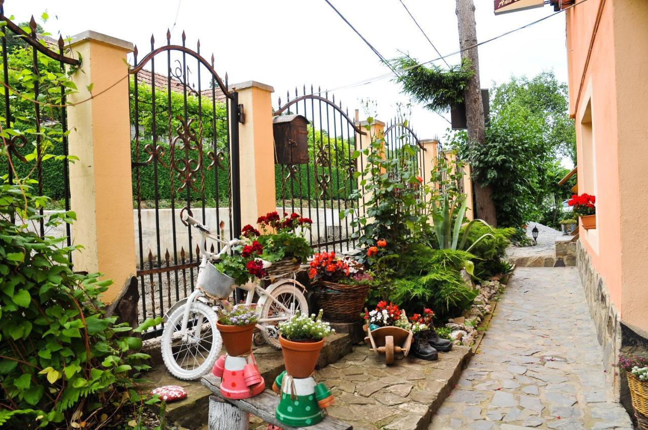 Pensiunea Ana Cristina Sighisoara Bagian luar foto
