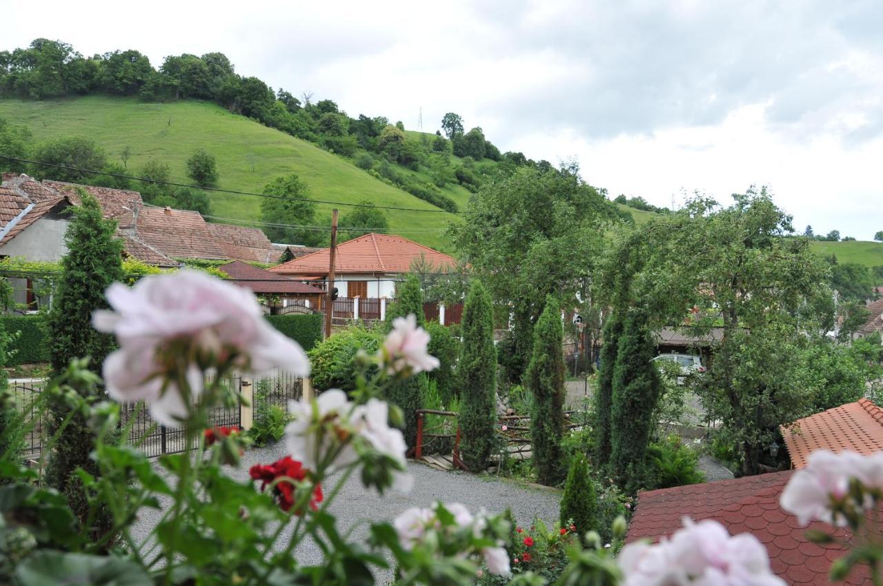 Pensiunea Ana Cristina Sighisoara Bagian luar foto