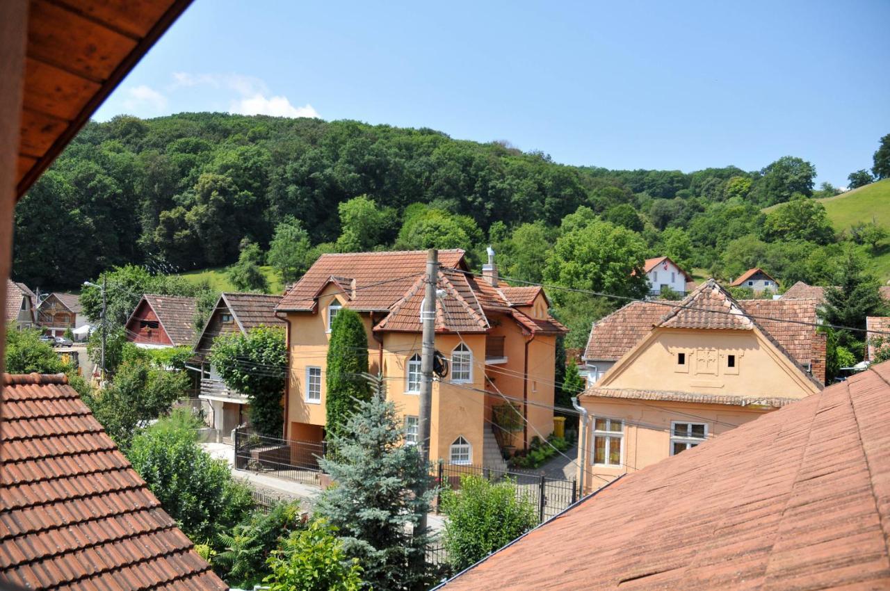 Pensiunea Ana Cristina Sighisoara Bagian luar foto