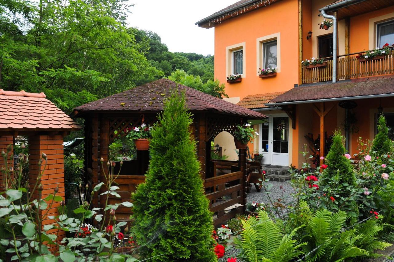 Pensiunea Ana Cristina Sighisoara Bagian luar foto