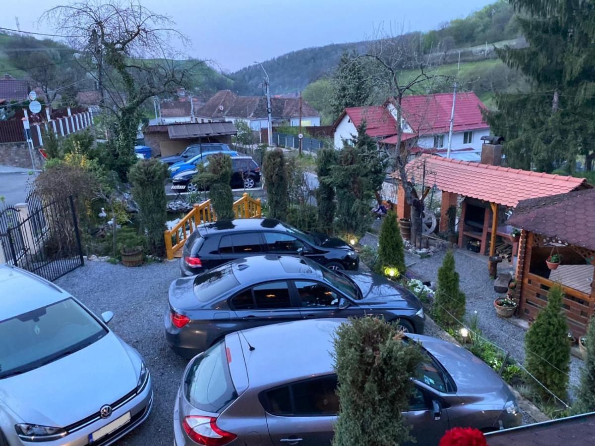 Pensiunea Ana Cristina Sighisoara Bagian luar foto