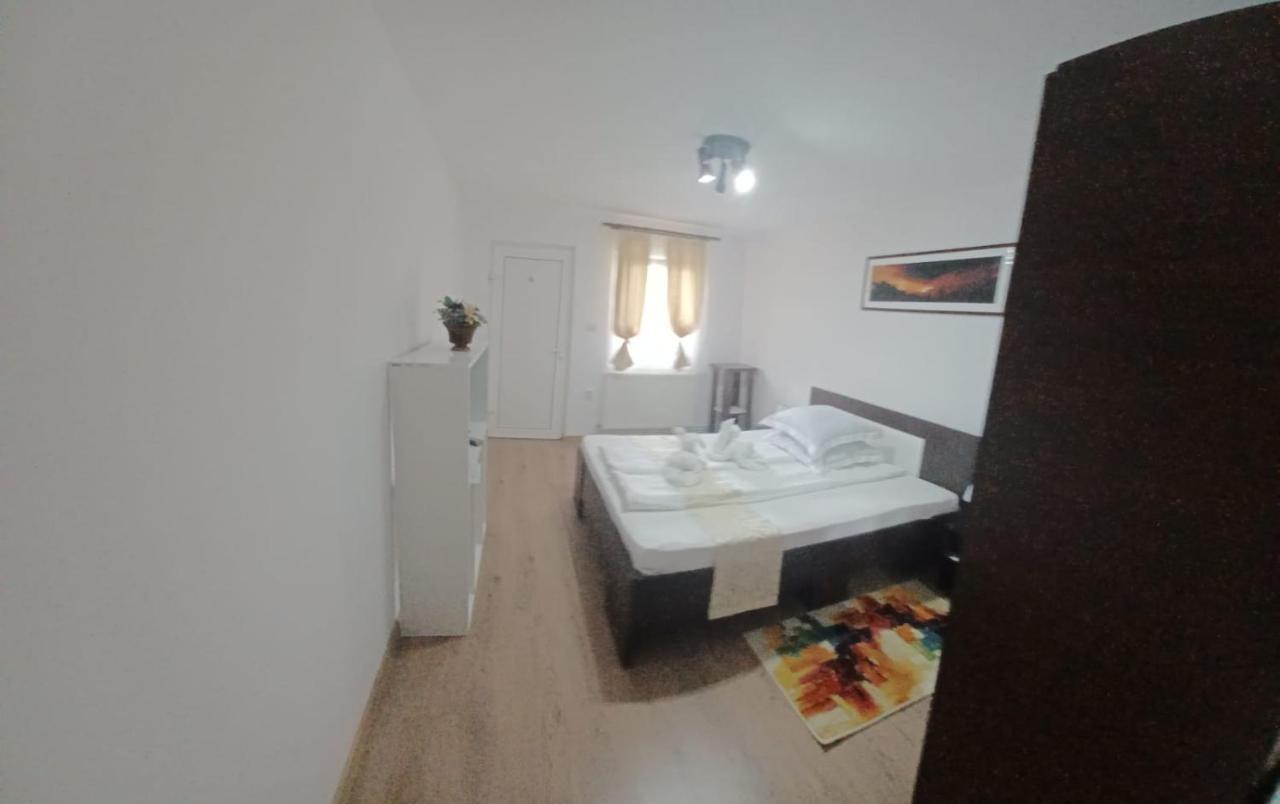 Pensiunea Ana Cristina Sighisoara Bagian luar foto