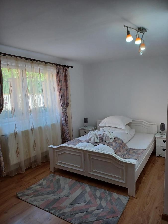Pensiunea Ana Cristina Sighisoara Bagian luar foto