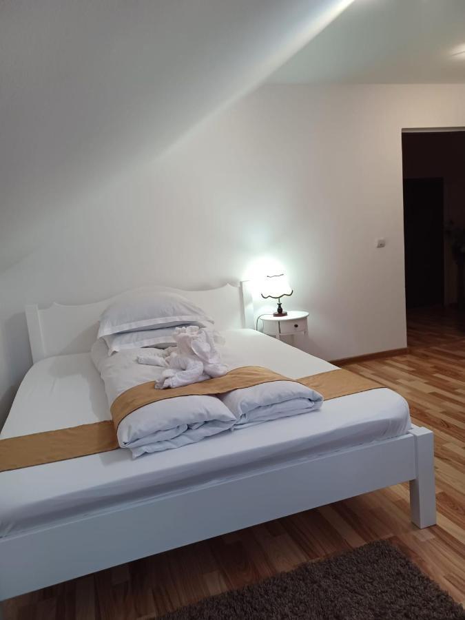 Pensiunea Ana Cristina Sighisoara Bagian luar foto