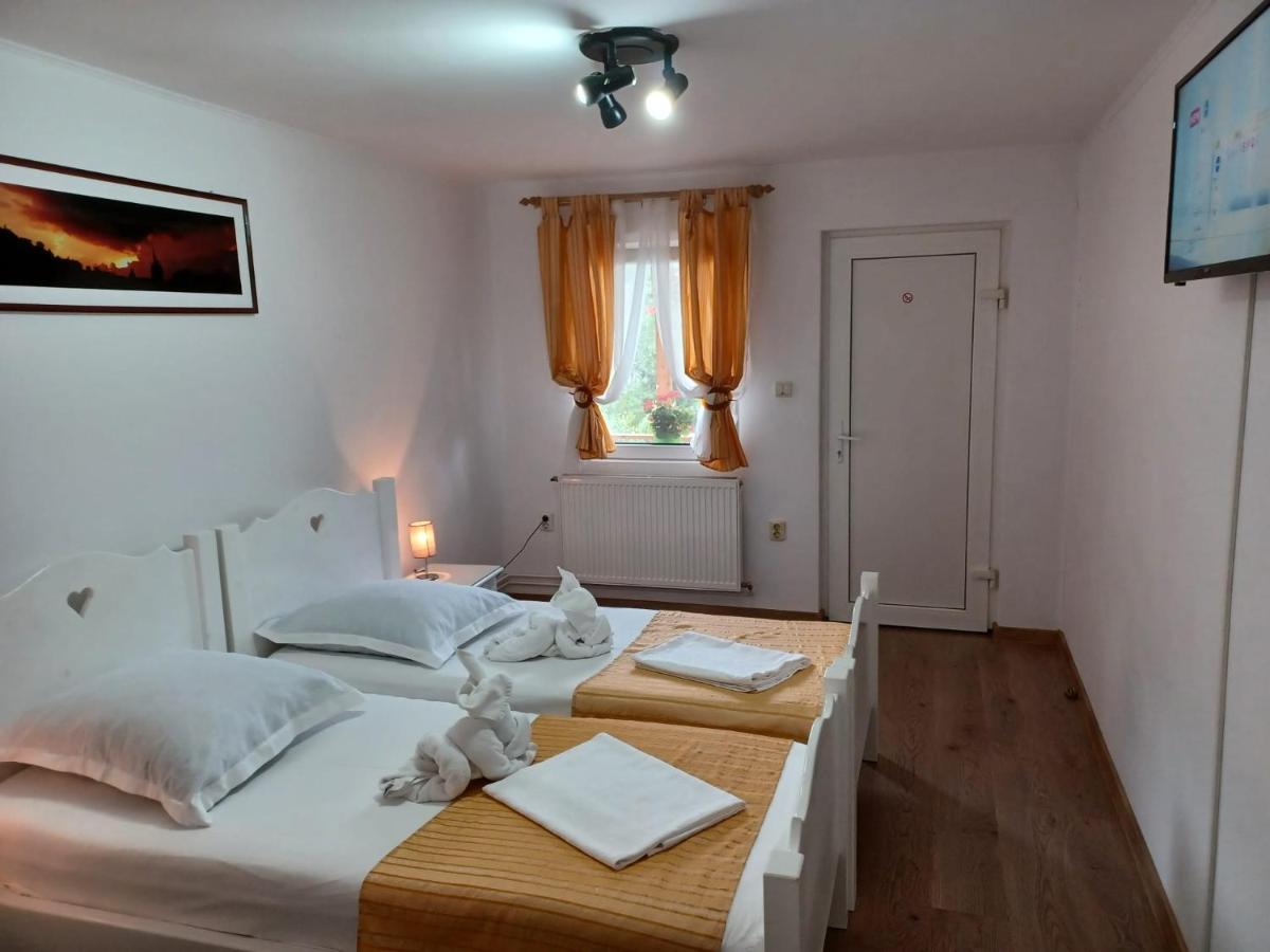 Pensiunea Ana Cristina Sighisoara Bagian luar foto